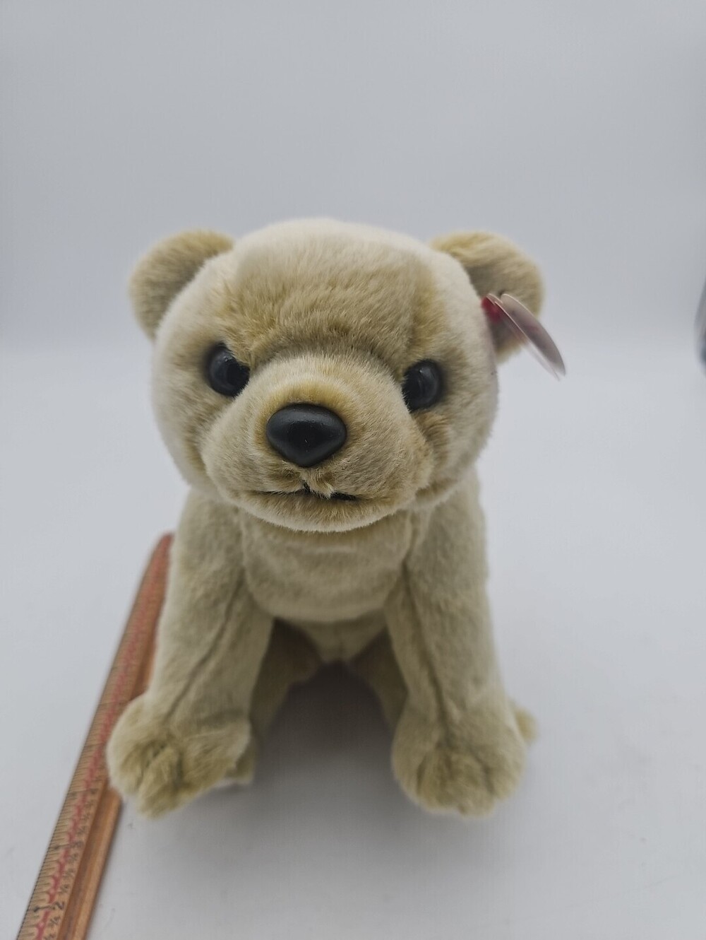 ALMOND 11" BEAR CUB TY Beanie Buddies Buddy Stuffed Animal Toy with Tag Buddy